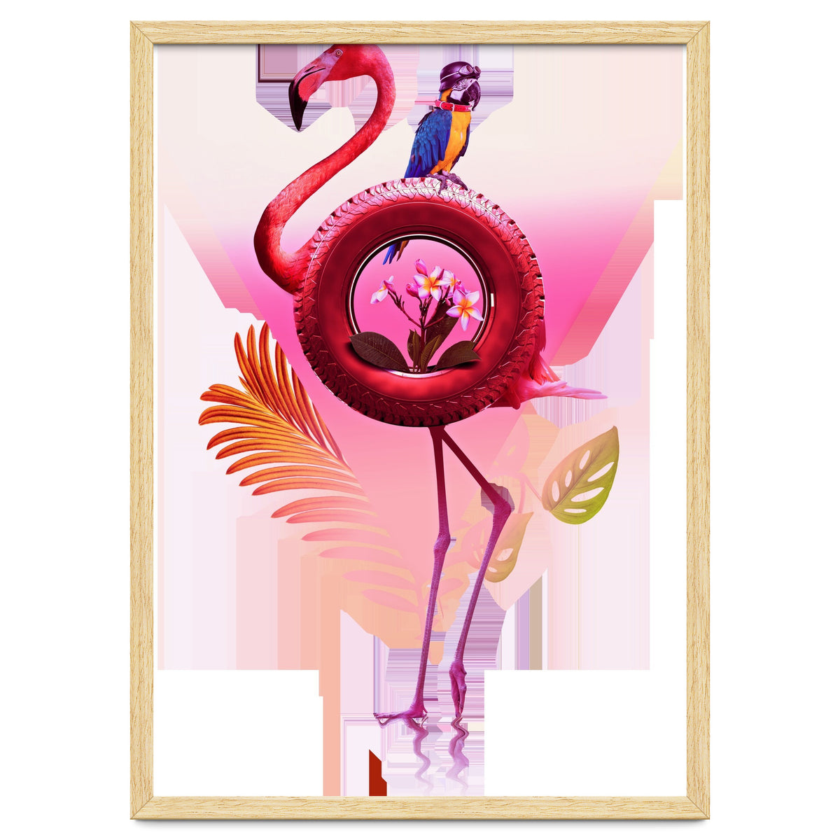 Flamingo