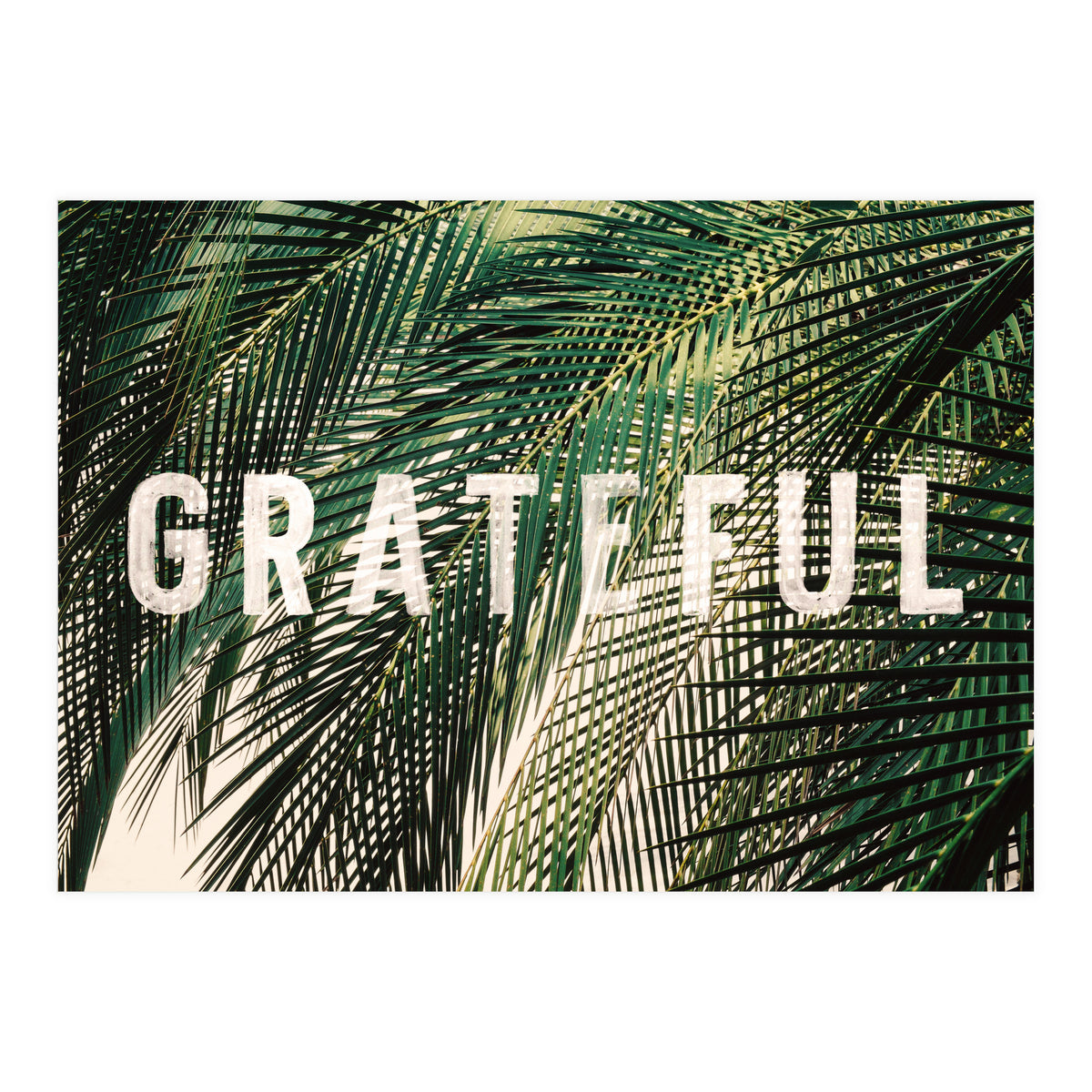 Grateful  (Print Only)