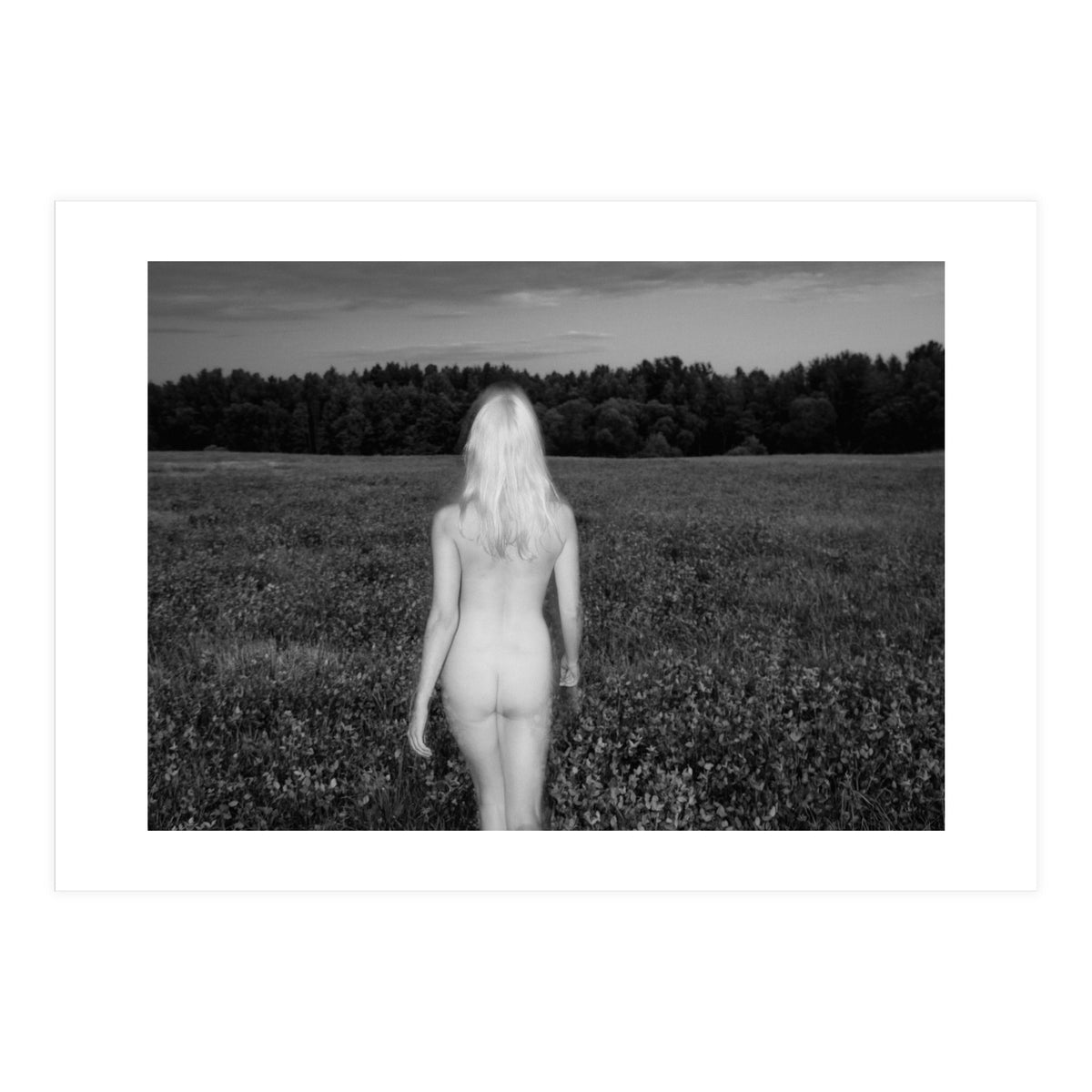 Wild Tales (Print Only)