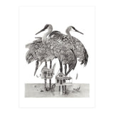 Crane Houses (Print Only) thumbnail