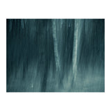 spell (Print Only) thumbnail