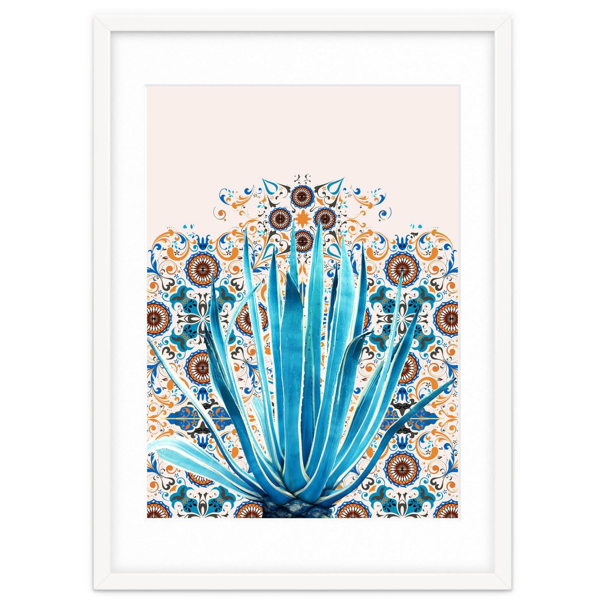 Cactus and Moroccan tiles