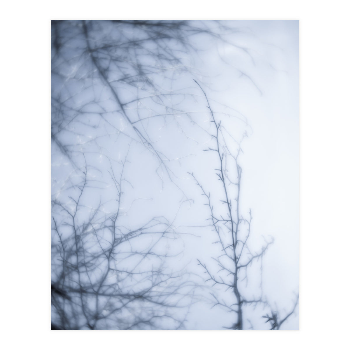 Forgotten Memories of Summer #21 (Print Only)