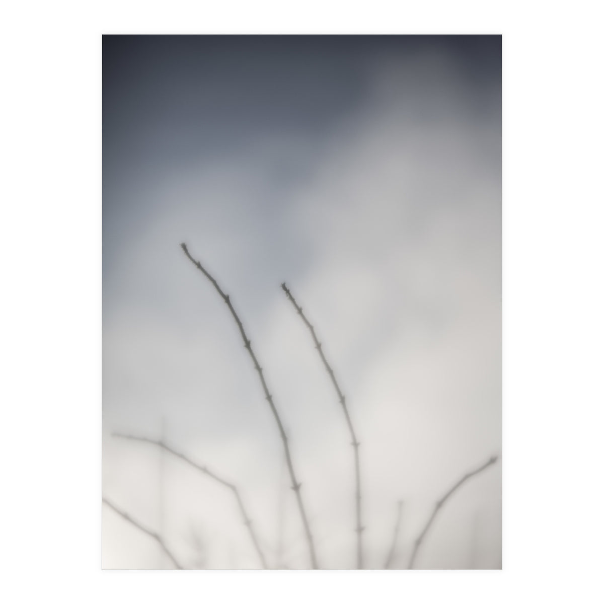 Forgotten Memories of summer #18 (Print Only)