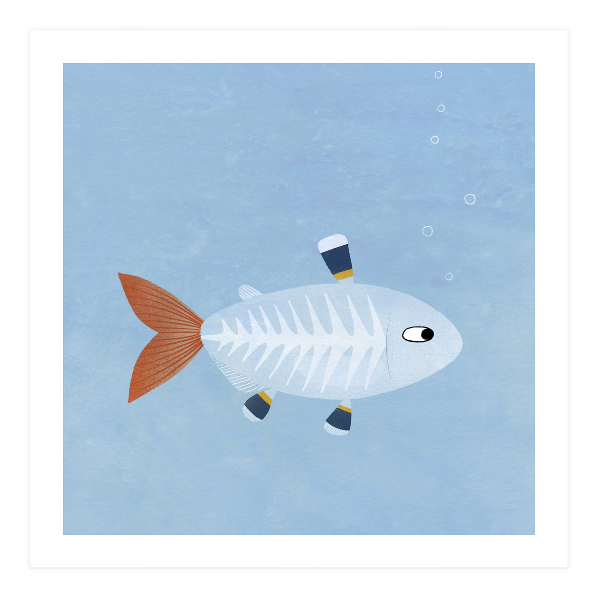 X Ray Tetra (Print Only)