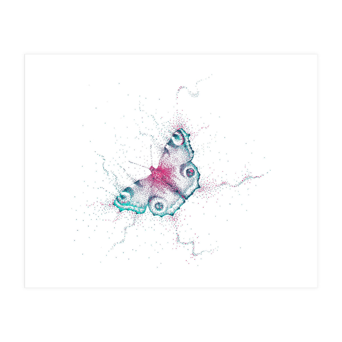 Peacock Butterfly (Print Only)