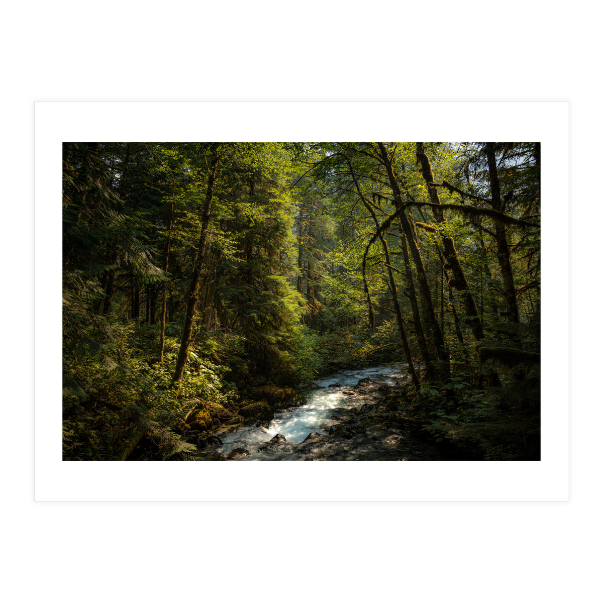 Cascade River (Print Only)