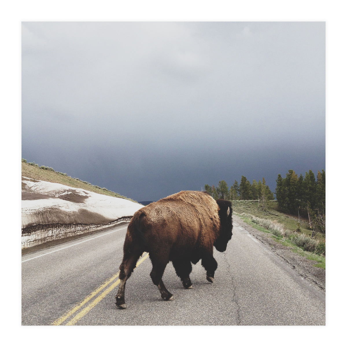 Street Walker (Print Only)