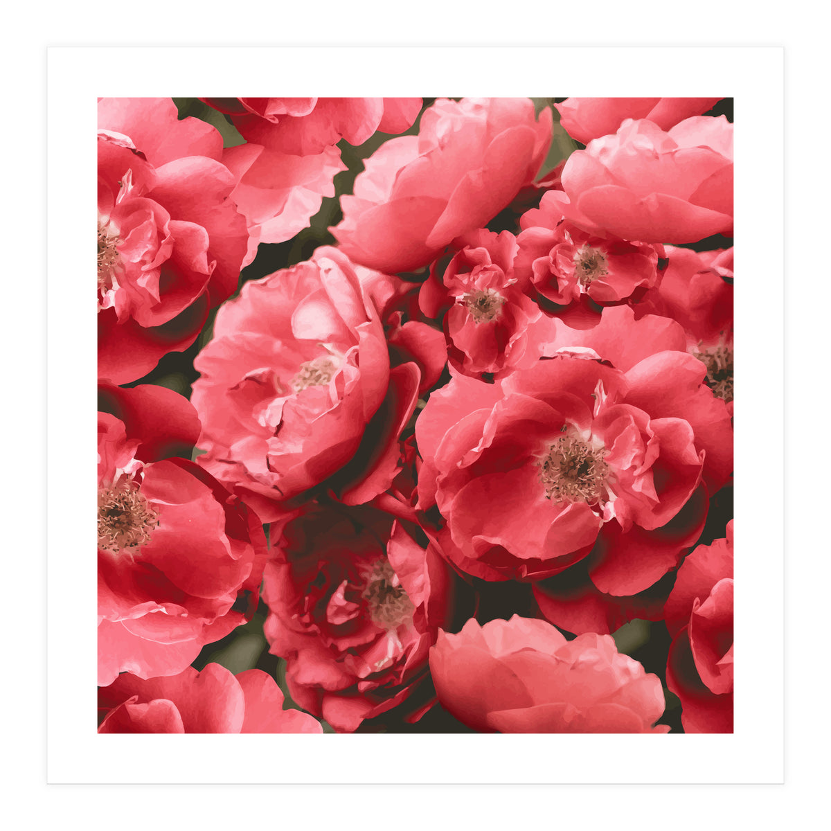 Christina (Print Only)