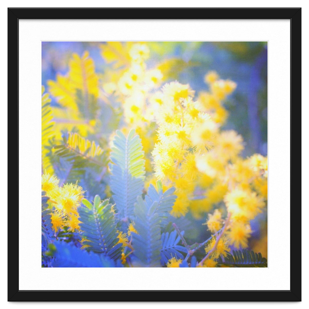 Yellow shiny flowers