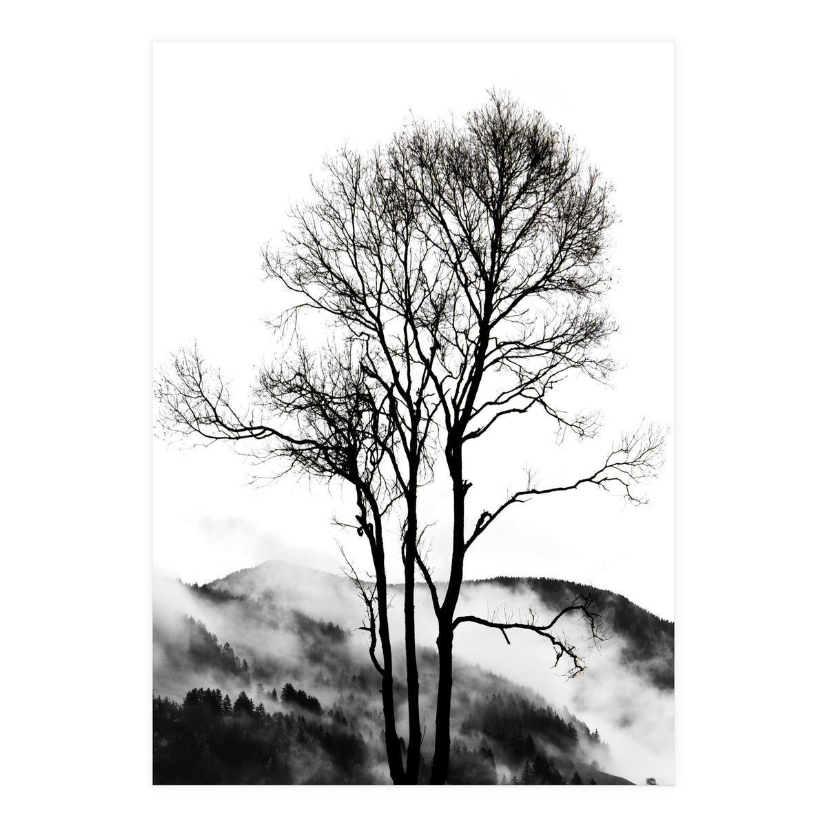 Rocky Mountains (Print Only)