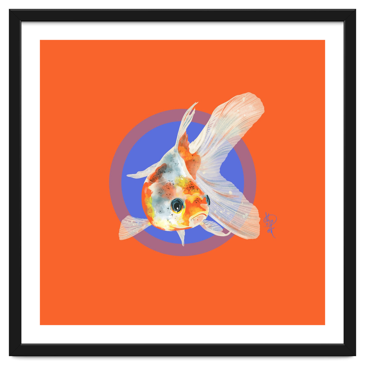Koi Carp