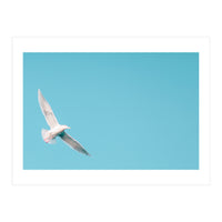 Seagull (Print Only)