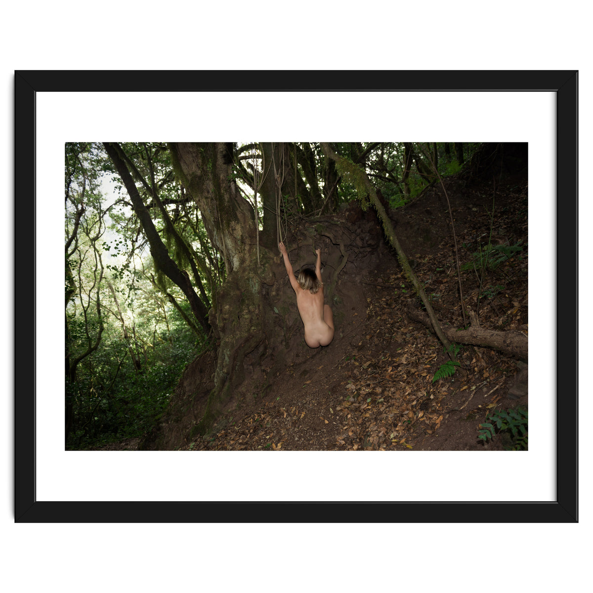 The kids Are all Wild