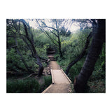 Glen Canyon Park (Print Only) thumbnail