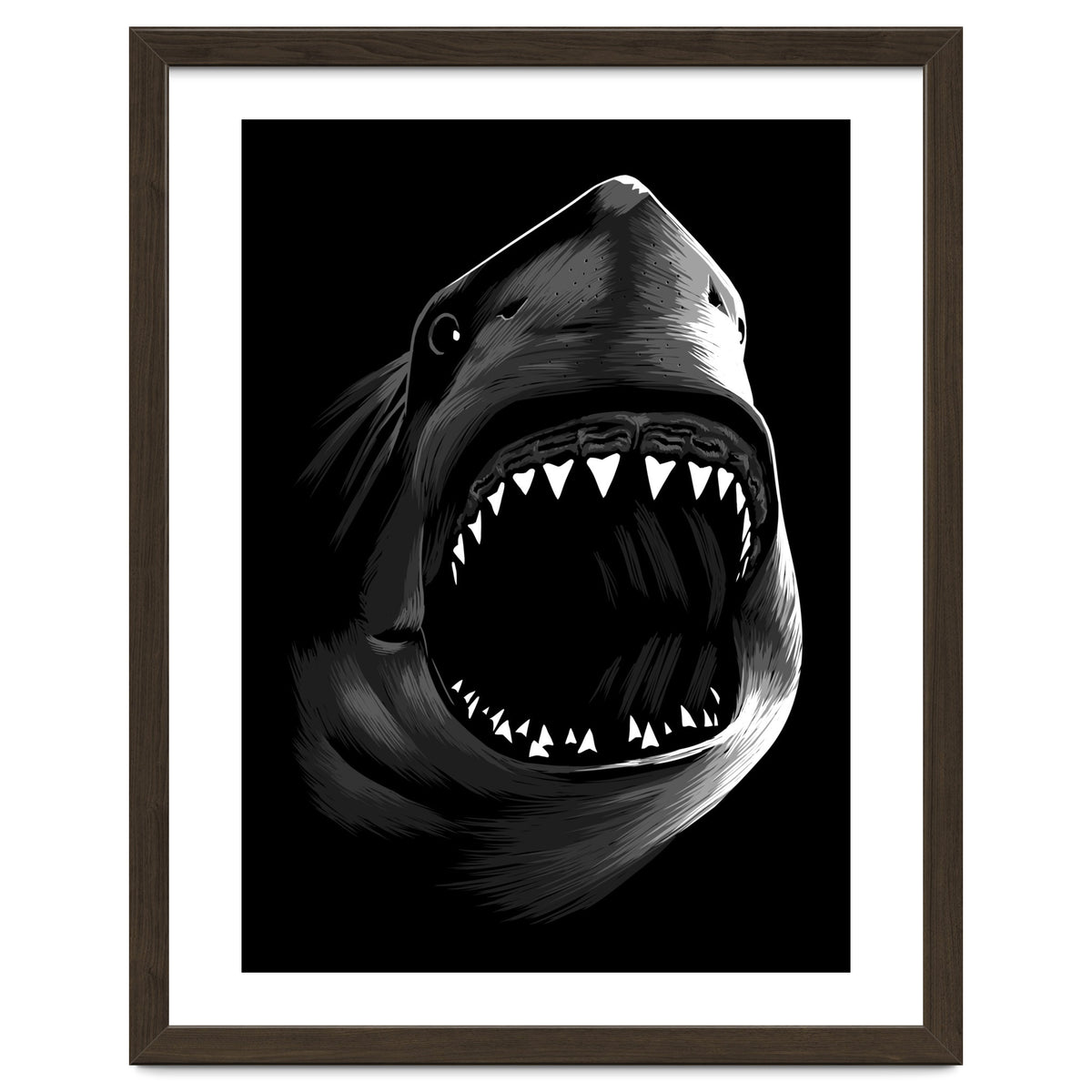 Megalodon