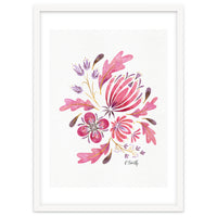 Protea | Floral Pink