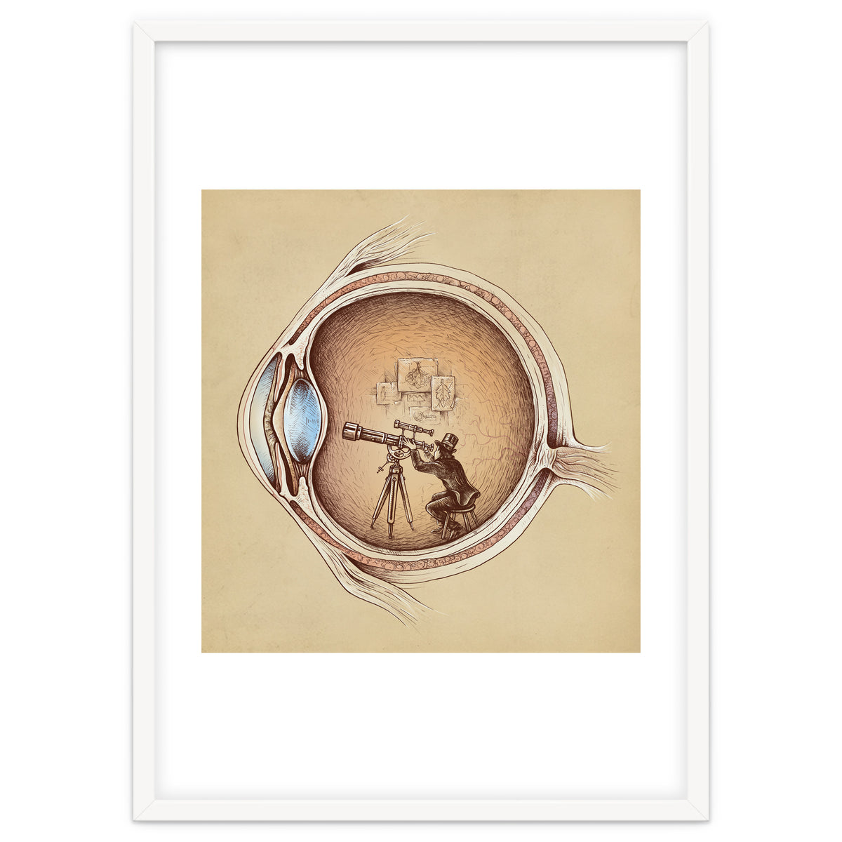 Extraordinary Observer