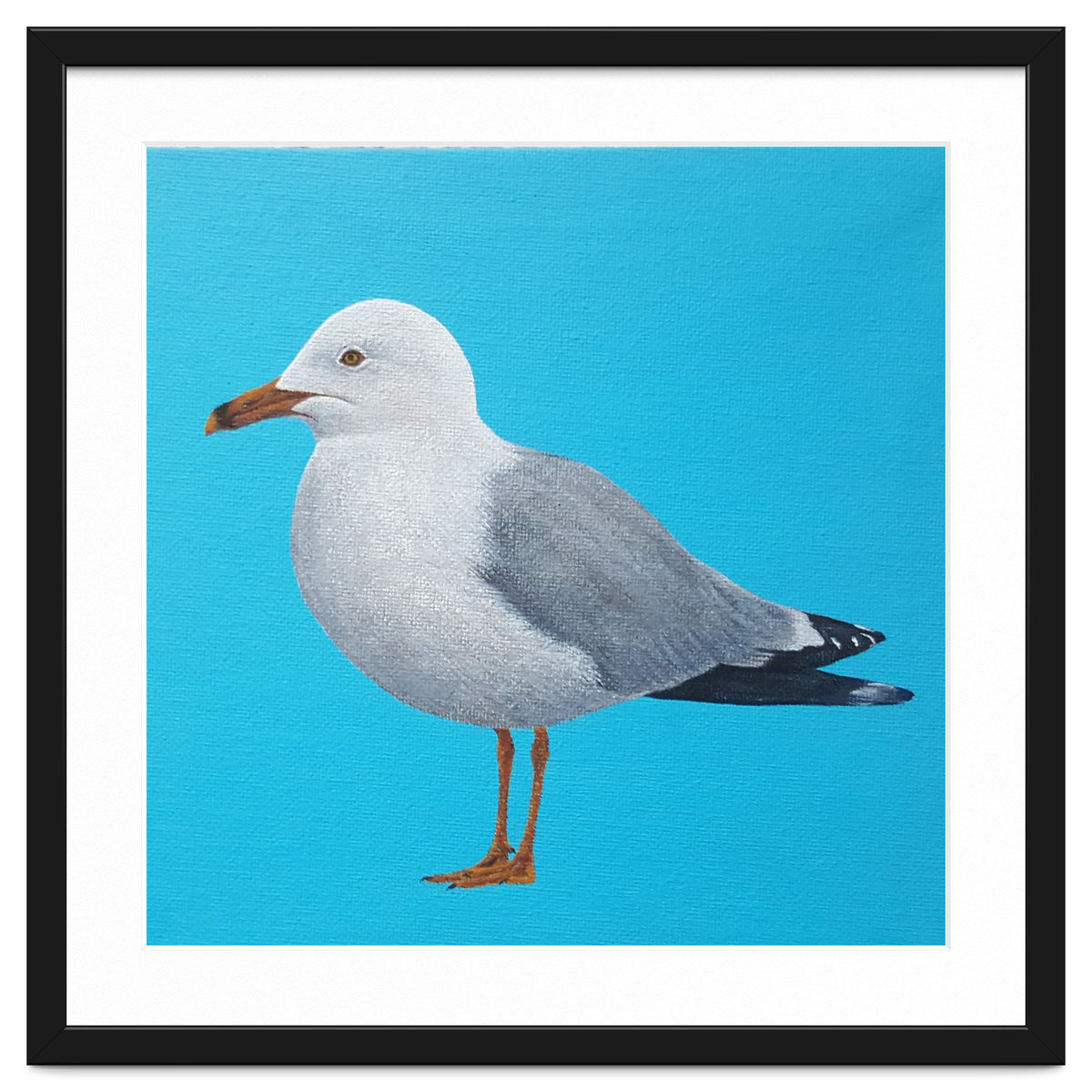 Seagull