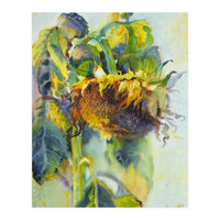 Sunflower Art. Sunny day sunflowers Art (Print Only)