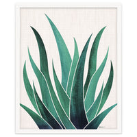 Desert Agave