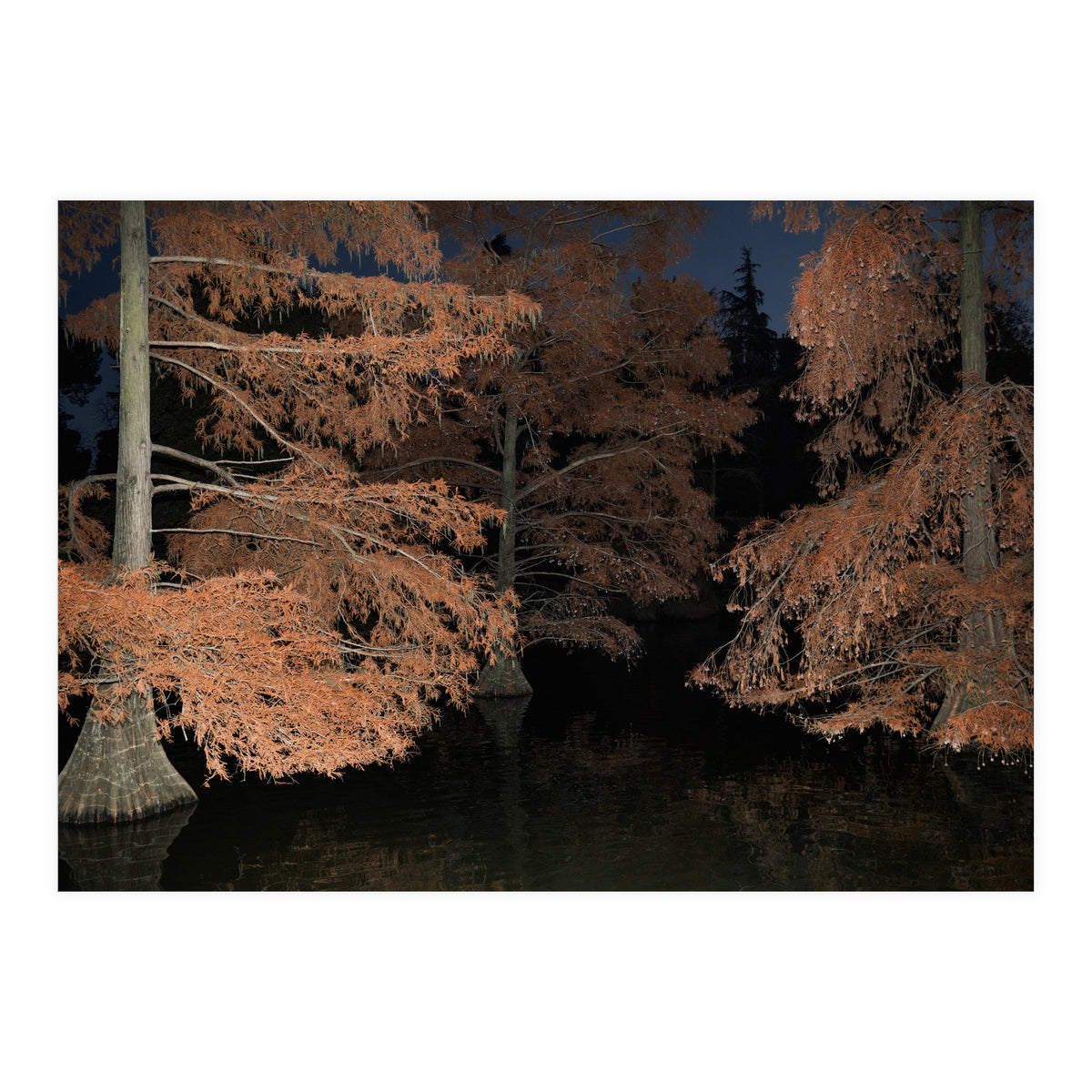 Sleepy Hollow (Print Only)