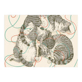 Cats (Print Only) thumbnail