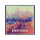 Olive Tree In Verona (Print Only) thumbnail