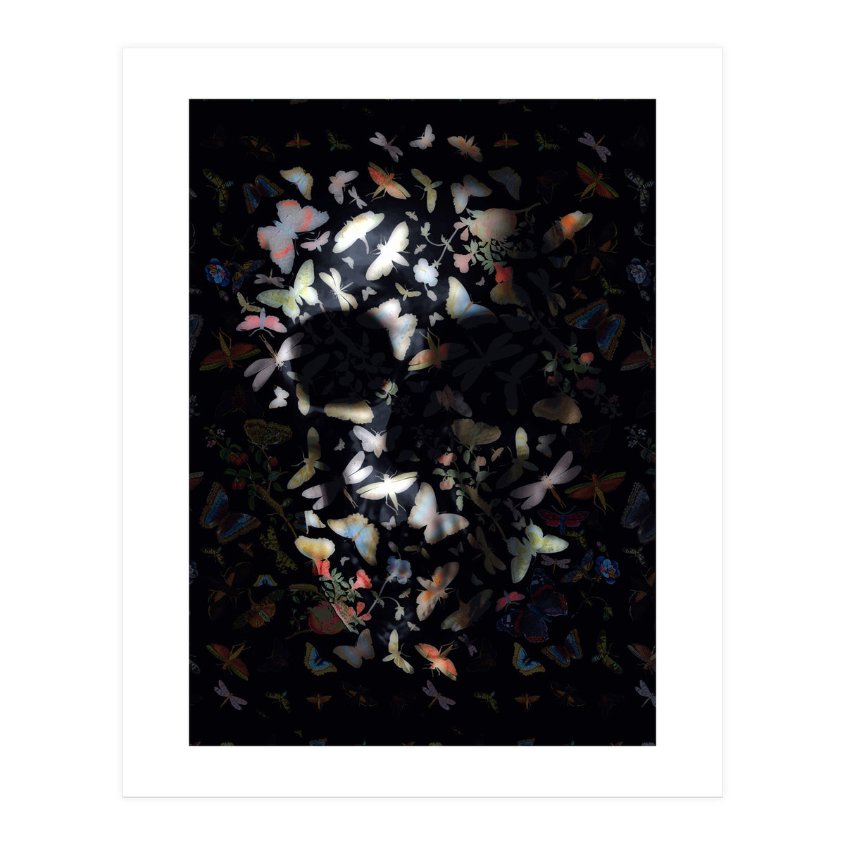 Butterfly Skull (Print Only)