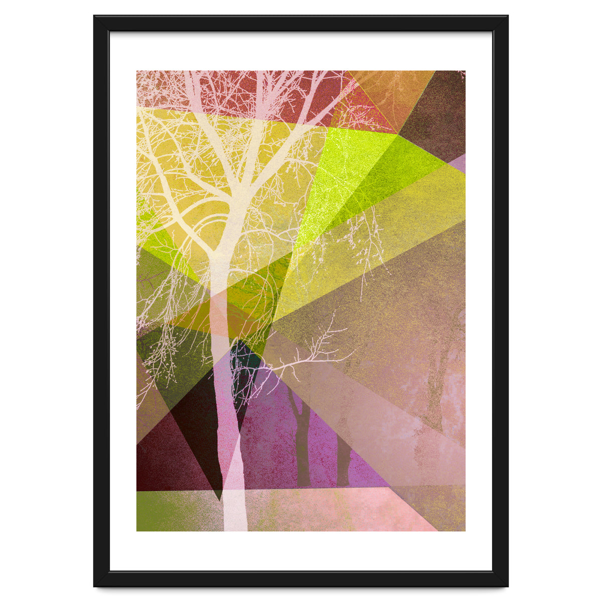 P22 Trees And Triangles