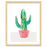 Painted Cactus In Coral Plant Pot