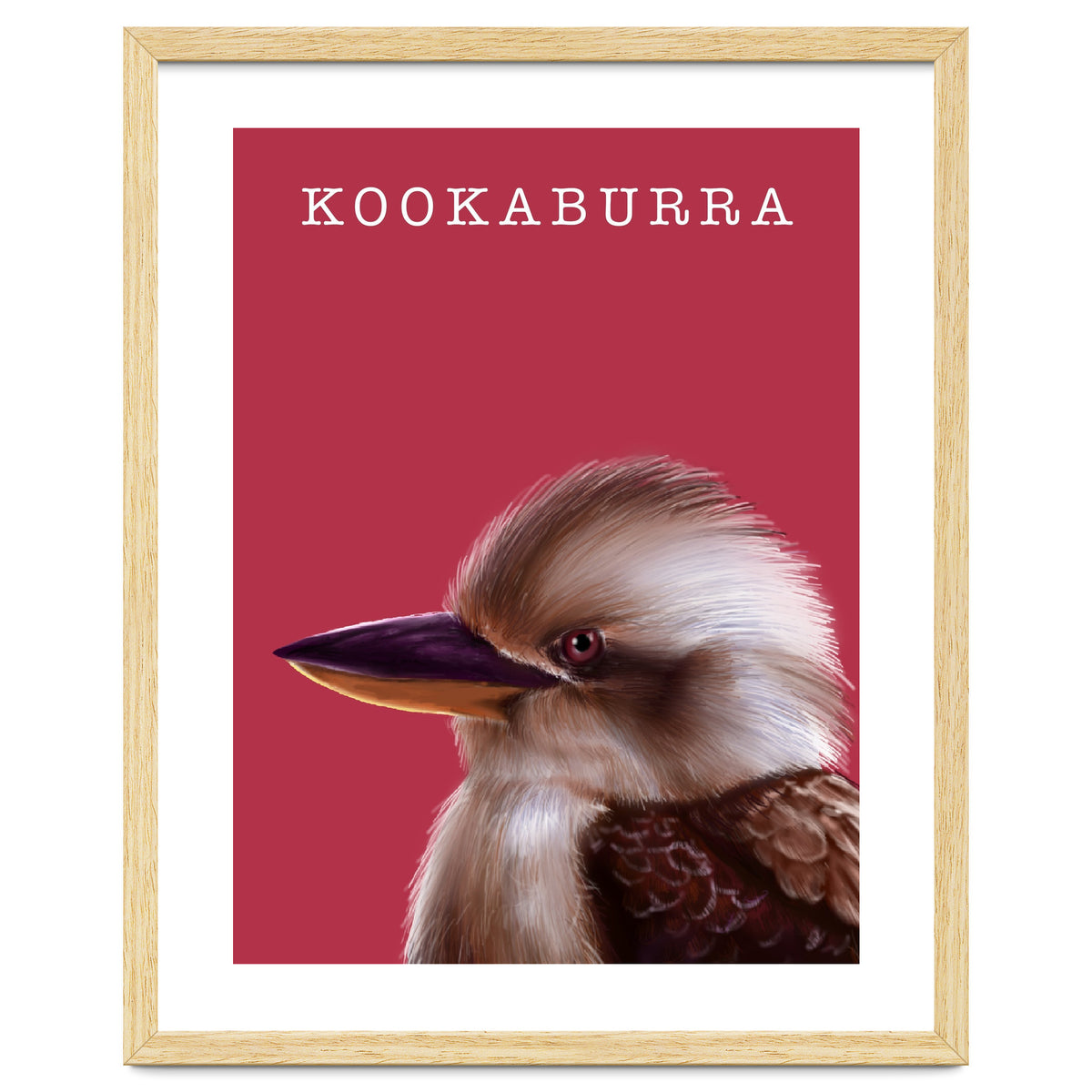 Kookaburra