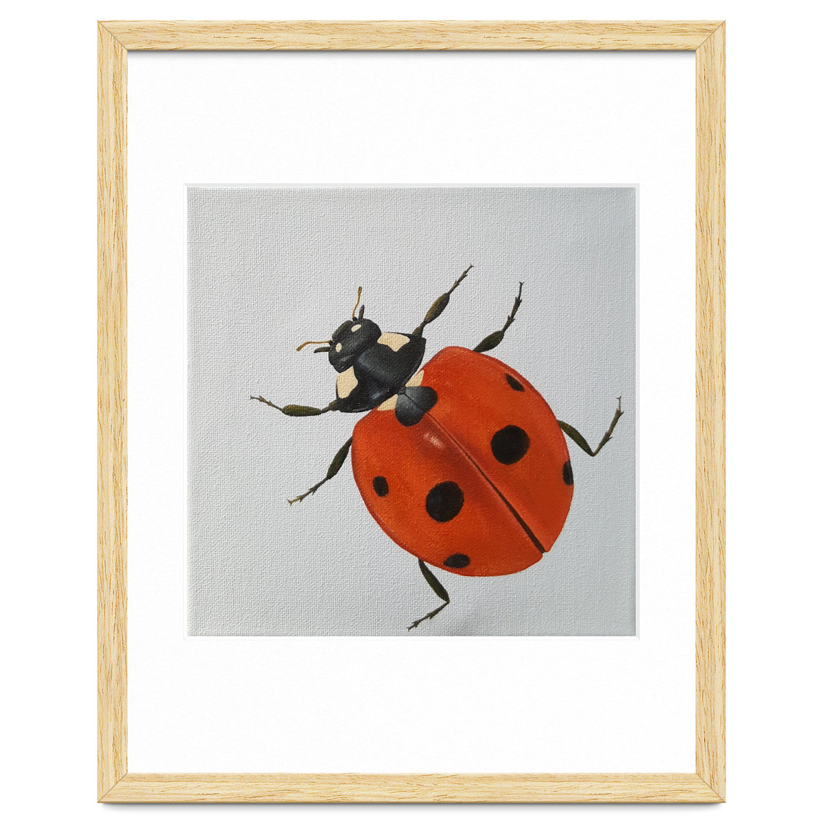 Ladybird