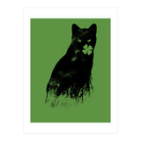 Ambivalence (Print Only) thumbnail