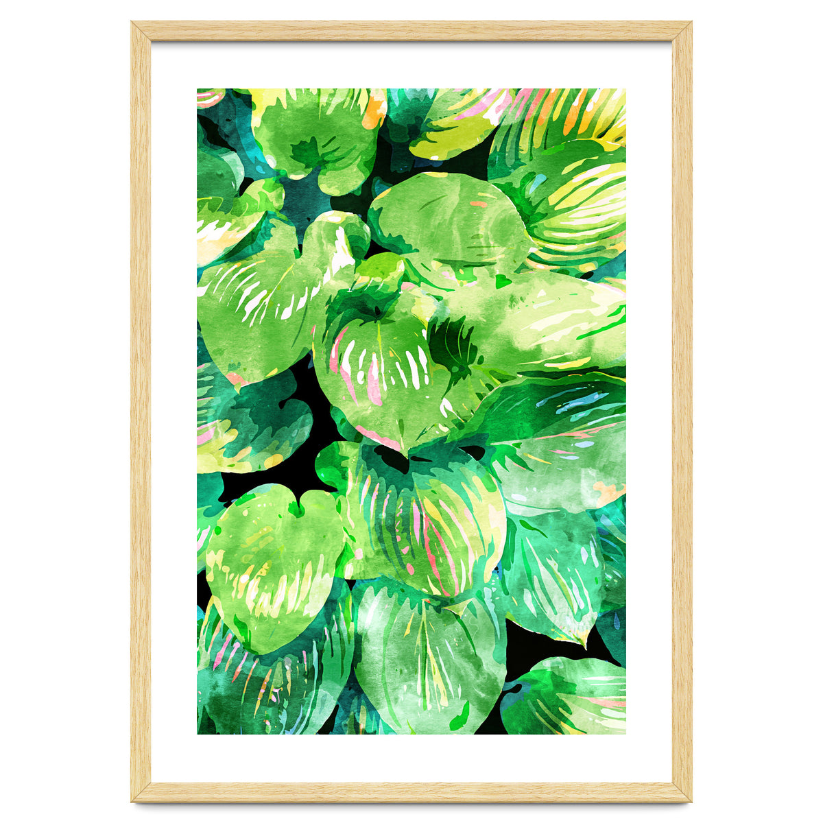 Colors Of The Jungle