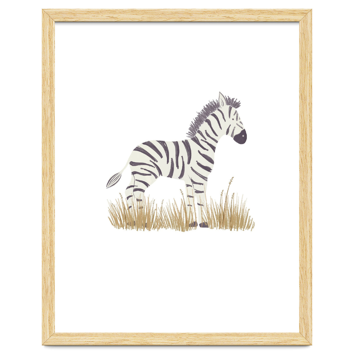 Zebra