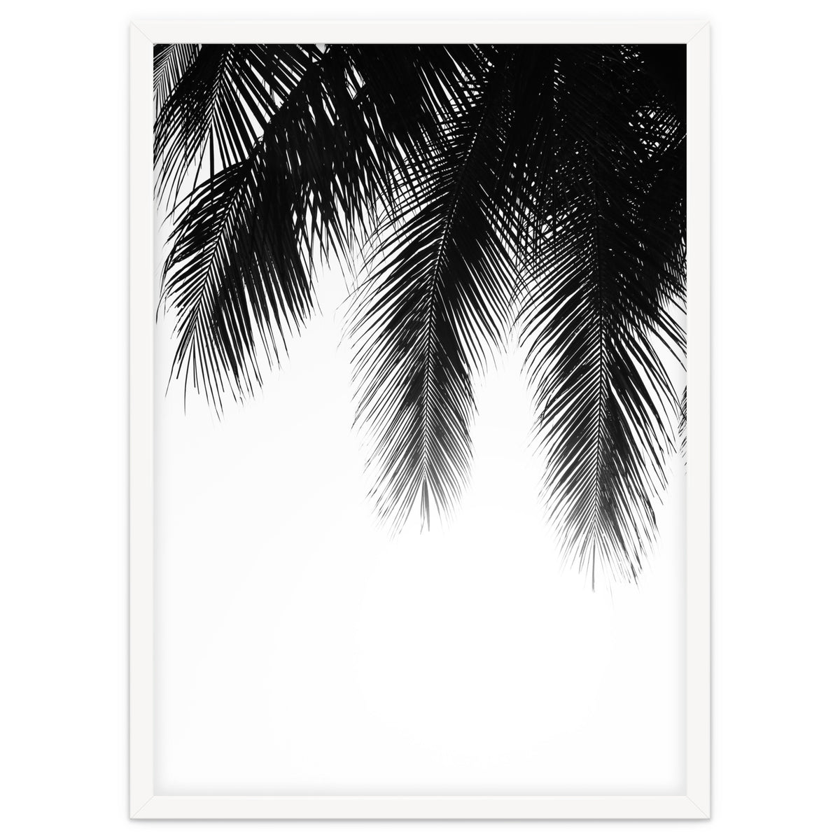 Palm leaves