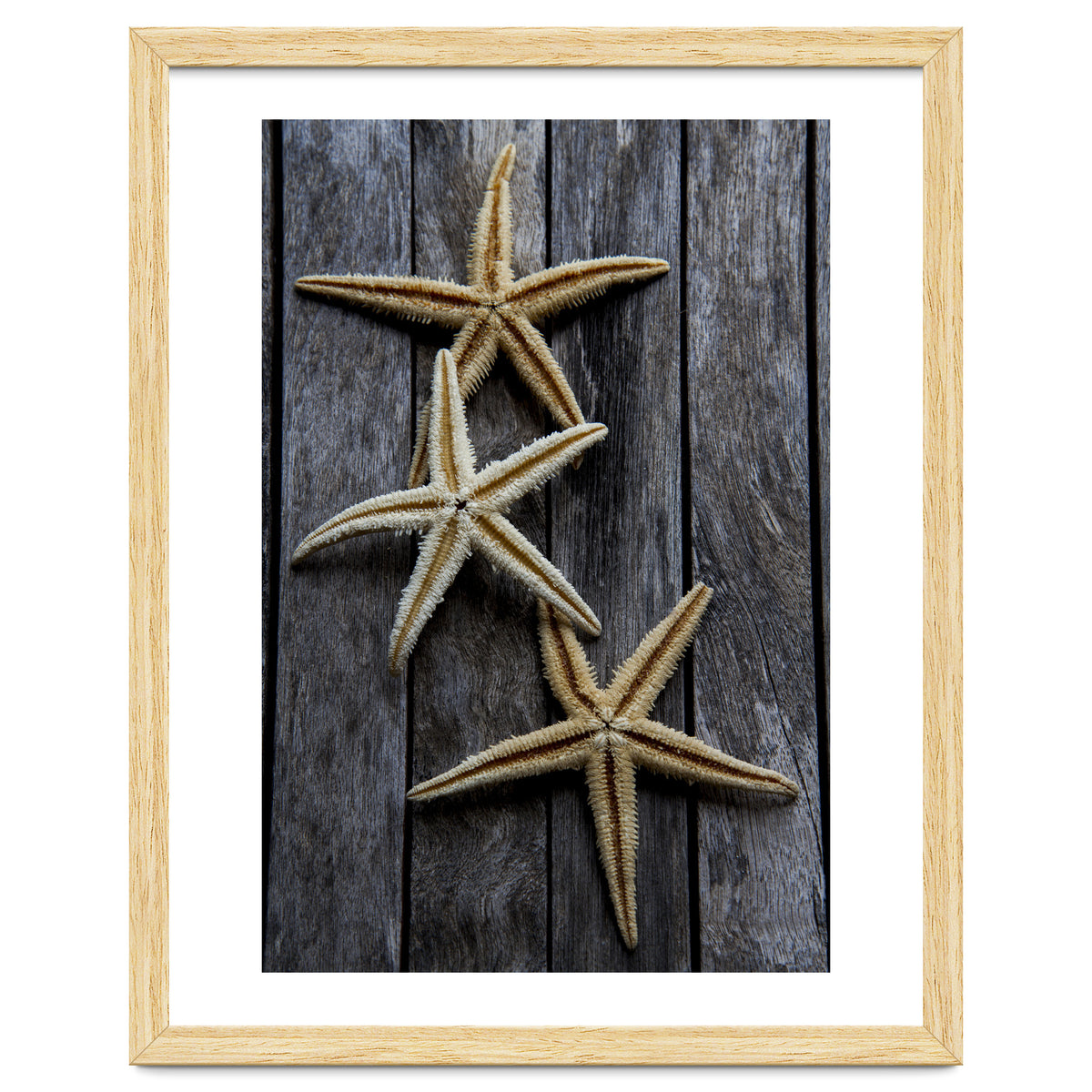 Starfishes in wooden