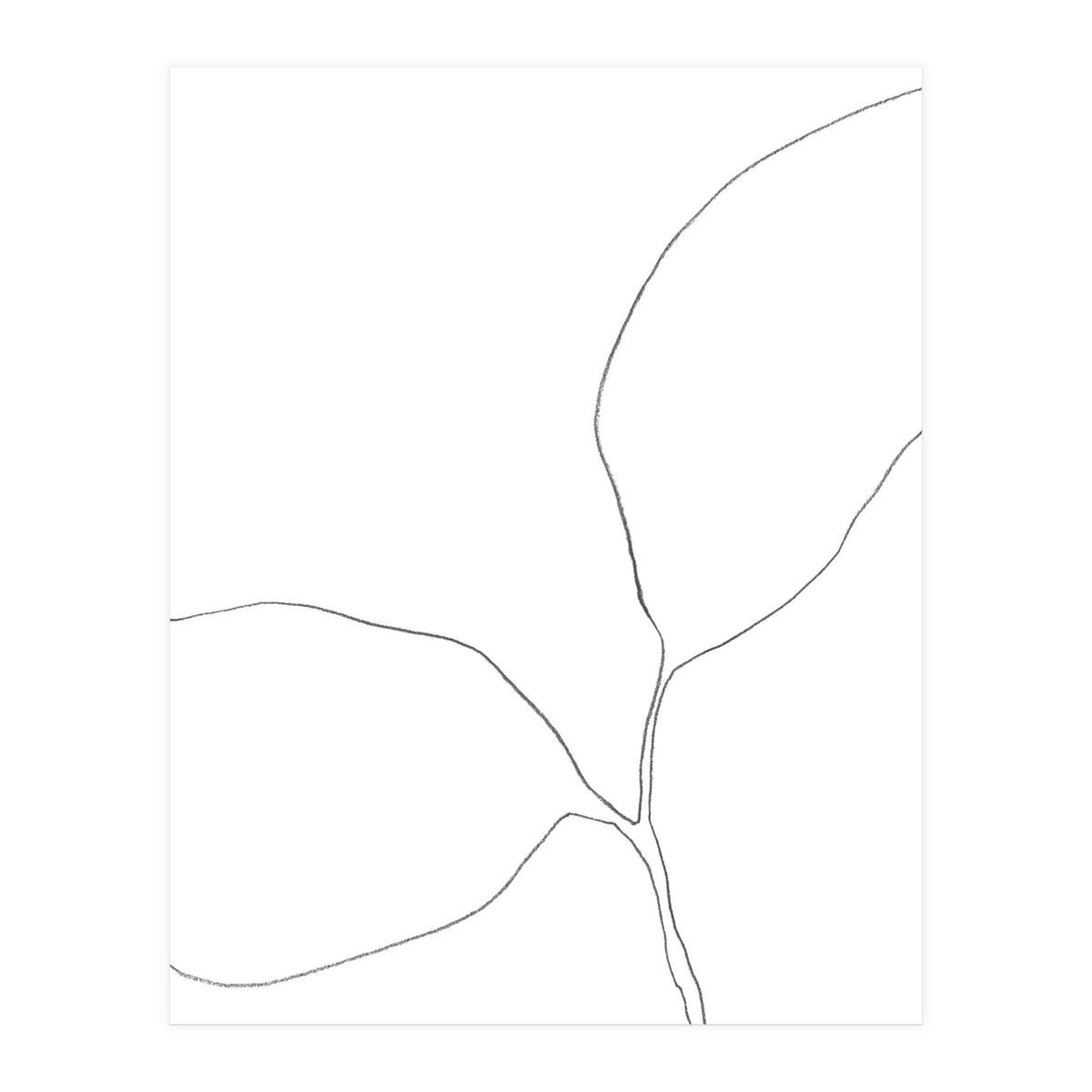 Seedling Leaning Left (Print Only)