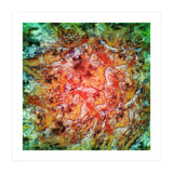 The Beautiful Evidence (Print Only) thumbnail