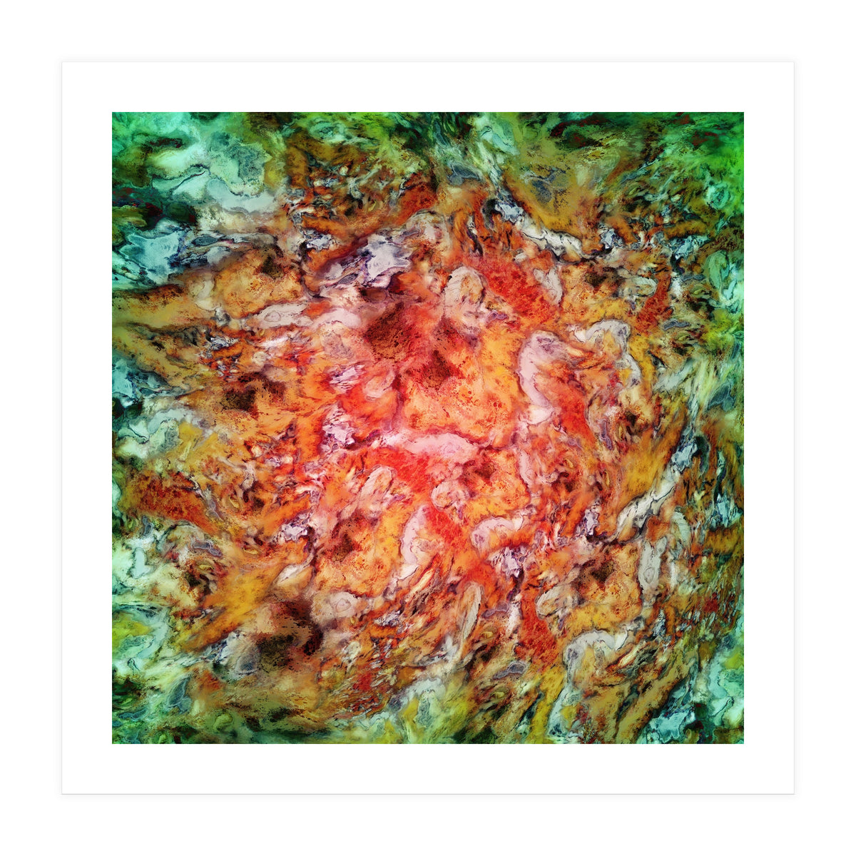 The Beautiful Evidence (Print Only)