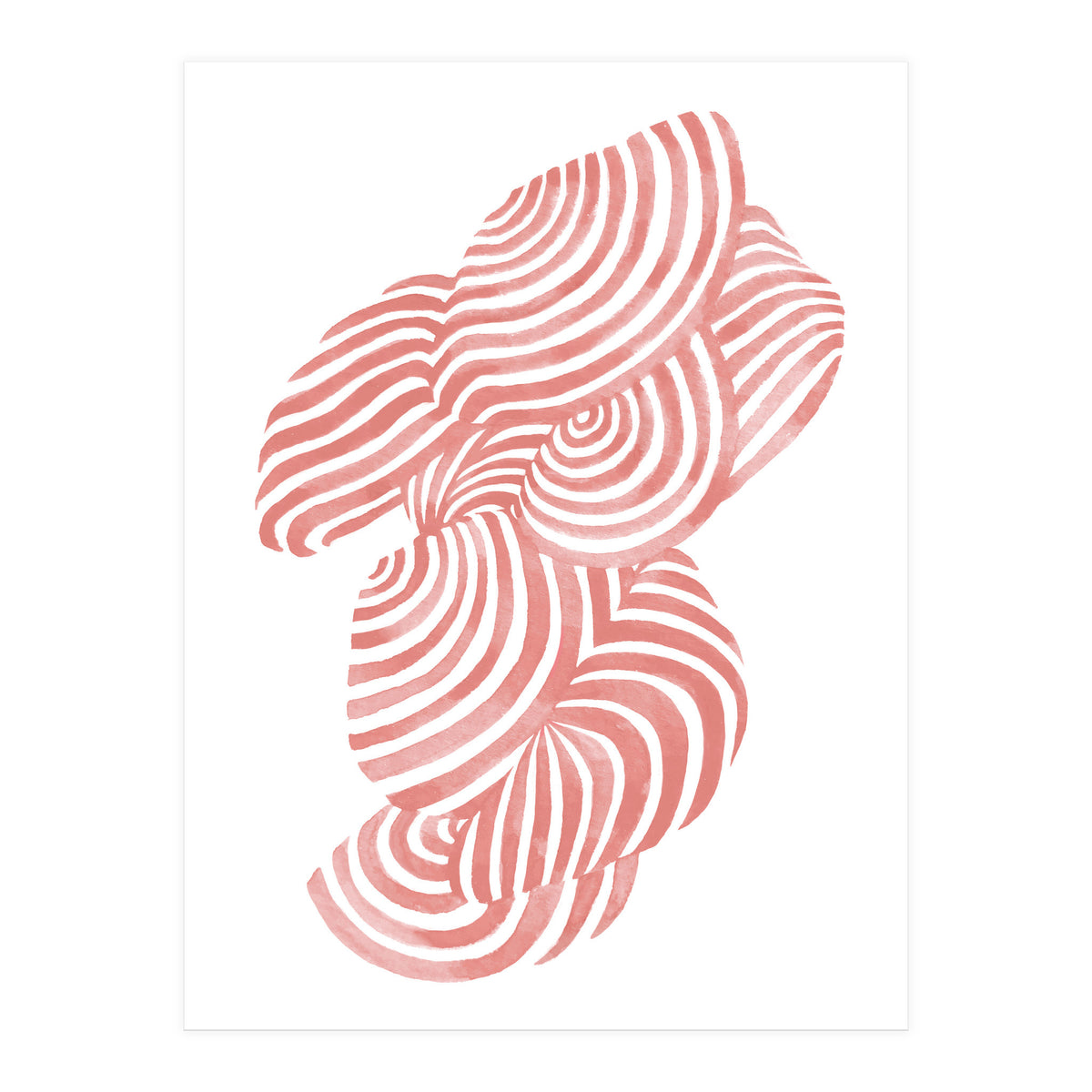 Seashells (Print Only)