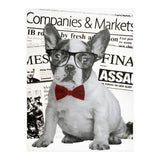 The Dog Of Wall Street (Print Only) thumbnail