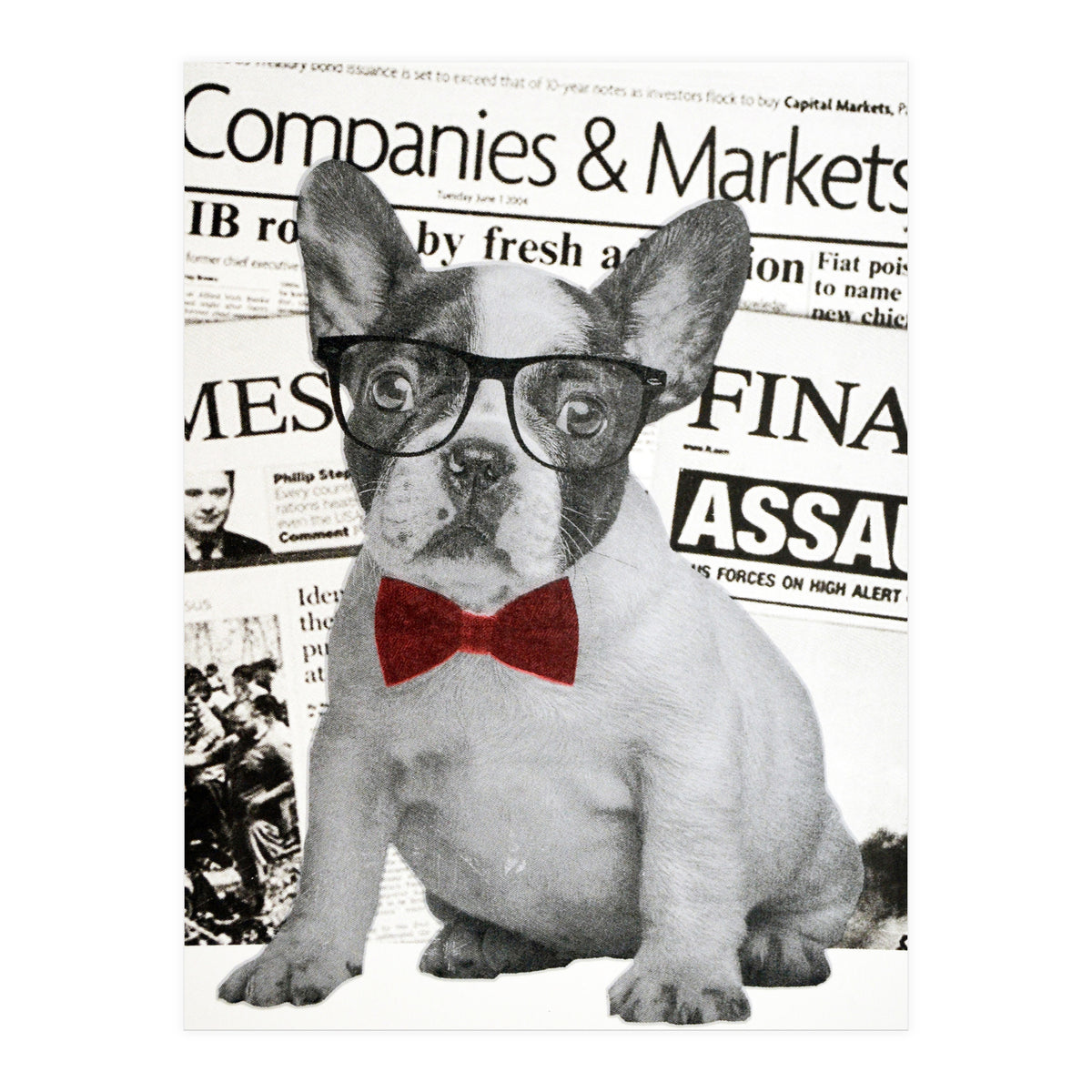 The Dog Of Wall Street (Print Only)