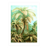 Vintage Tropical | Jungle Botanical Nature Banana Tree | Bohemian Plants Trees Forest (Print Only) thumbnail