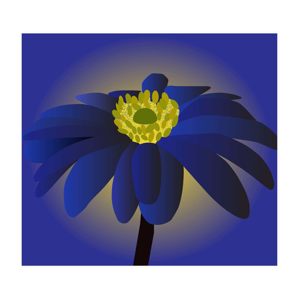 Anemone Blanda Flower Art (Print Only)