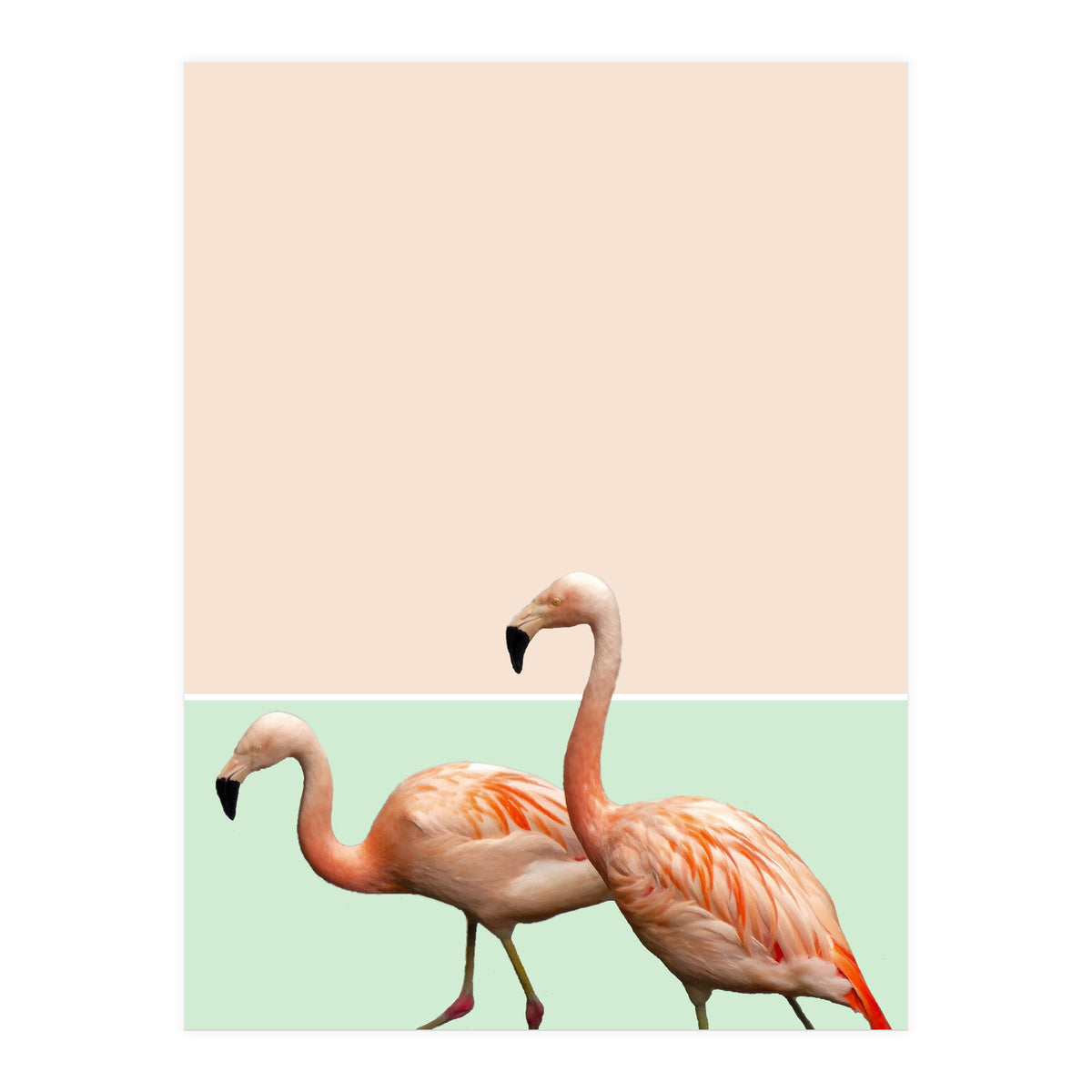Flamingo Pastel Art (Print Only)