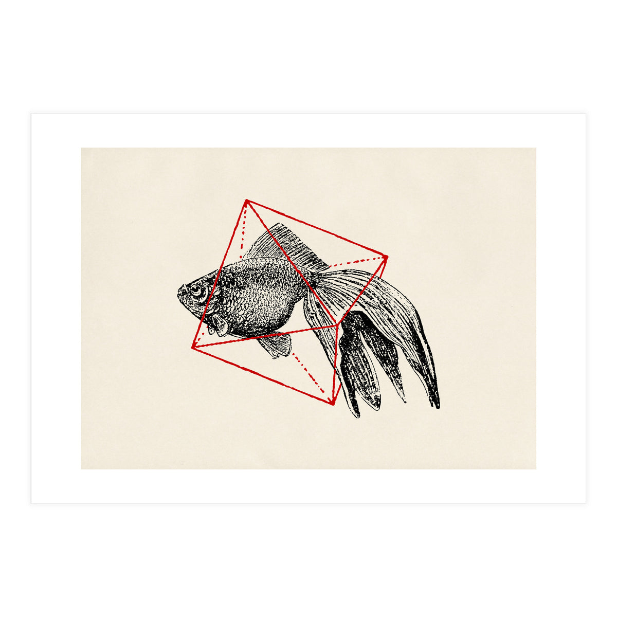 Fish In Geometrics III (Print Only)