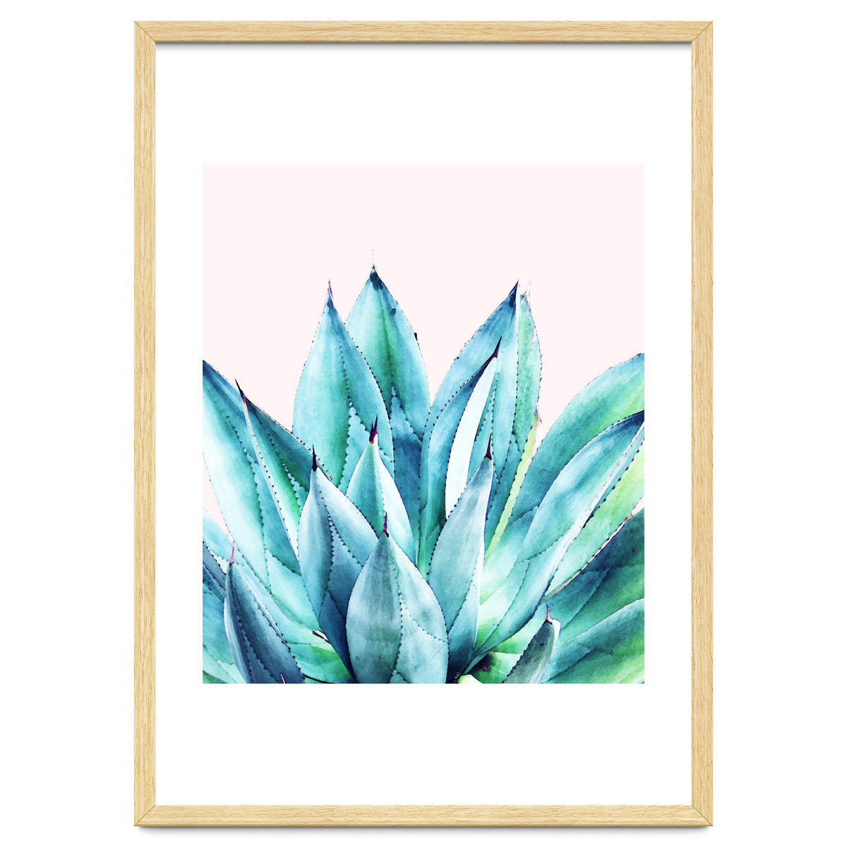 Agave Vibe