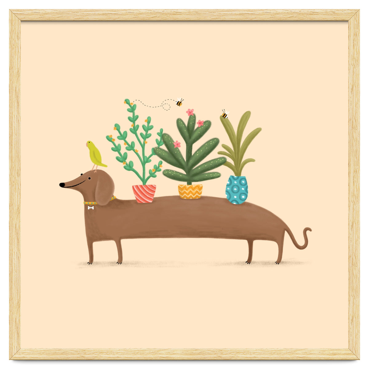 Dachshund And Parrot